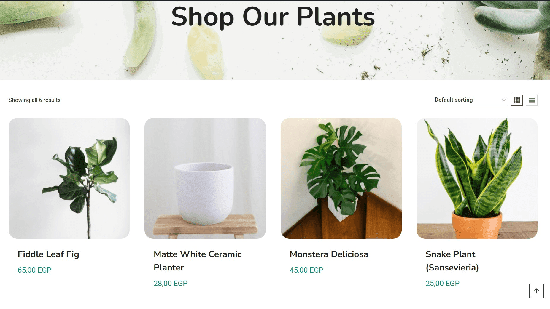 Verdant Plants Store