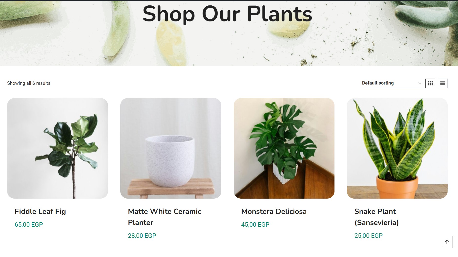 Verdant Plants Store
